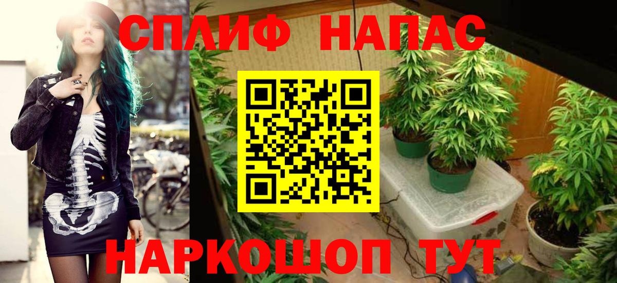 Каннабис SATIVA & INDICA  Шишки марихуана MAZAR  Северск  Вход с VPN  Бошки Шишки LSD WEED 
